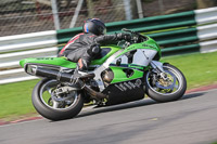brands-hatch-photographs;brands-no-limits-trackday;cadwell-trackday-photographs;enduro-digital-images;event-digital-images;eventdigitalimages;no-limits-trackdays;peter-wileman-photography;racing-digital-images;trackday-digital-images;trackday-photos